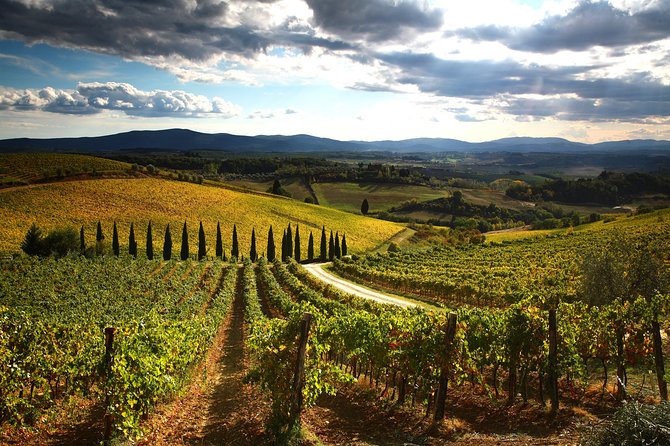 Tuscany Hiking Tour From Siena Including Wine Tasting - Departure Point and Time