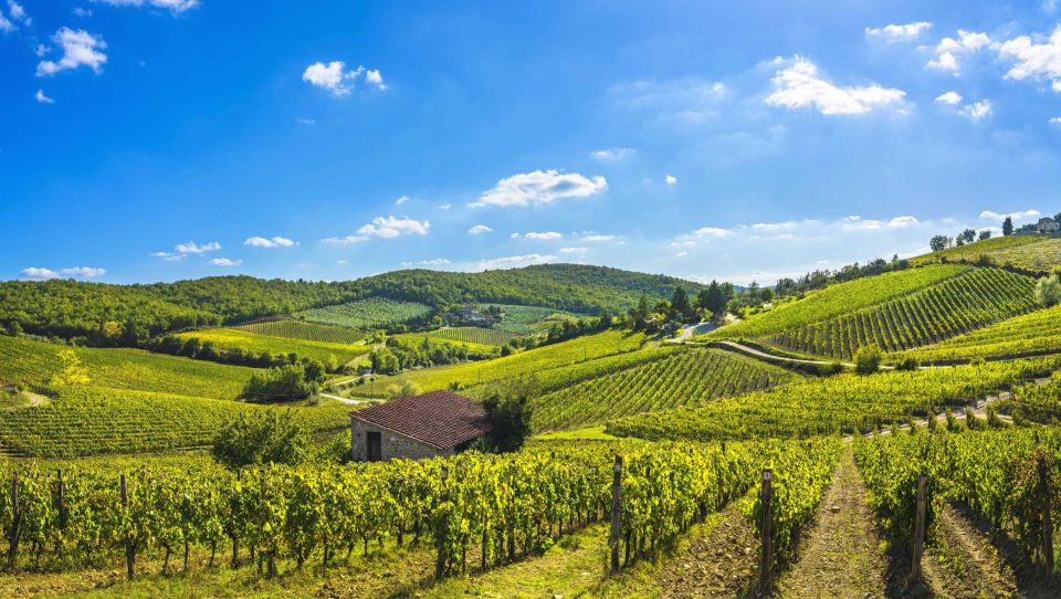Wine Tasting in Brolio Castle Gardens From Florence by Car - Pricing Details
