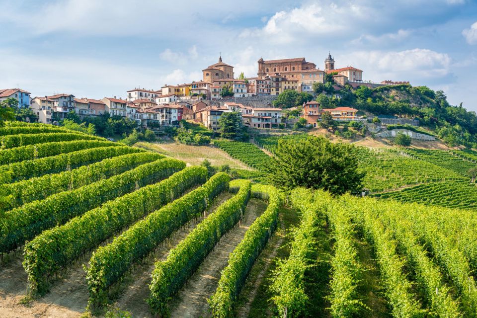 Alba: Barolo Castle, Alfieri Vineyards, and Truffle Lunch - Tour Description