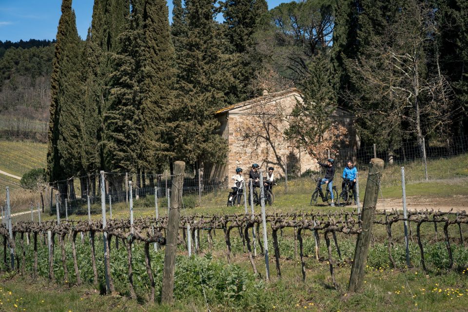 Chianti Classico: E-Bike Tour With Lunch and Tastings - Inclusions and Exclusions