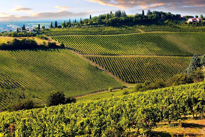 Chianti Half-Day Wine Tour in the Tuscan Hills Small Group From Lucca - Directions and Itinerary for the Tour