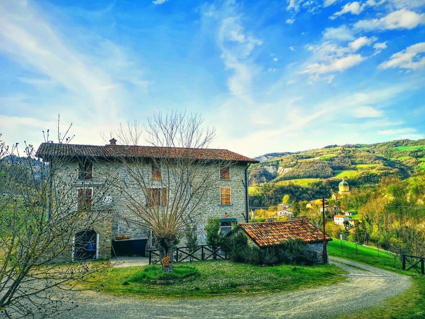 Forlì Hills: Eco-Friendly Cooking Class, Home-Made Pasta - Activity Description