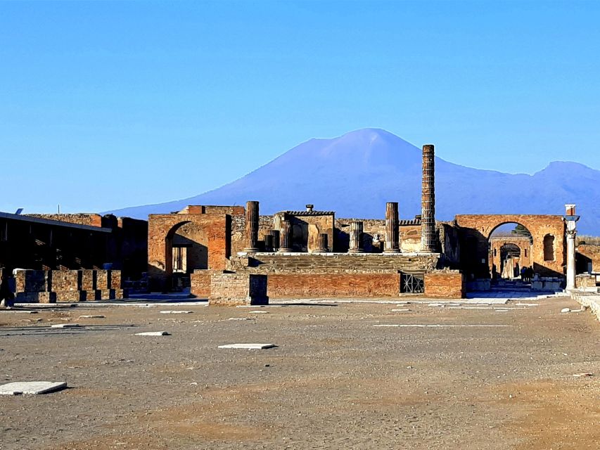 From Naples: Private Tour Vesuvius, Herculaneum and Pompeii - Highlights