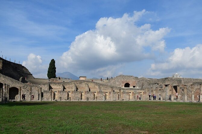 Naples City and Pompeii Half Day Sightseeing Tour - Tour Guide Alezia