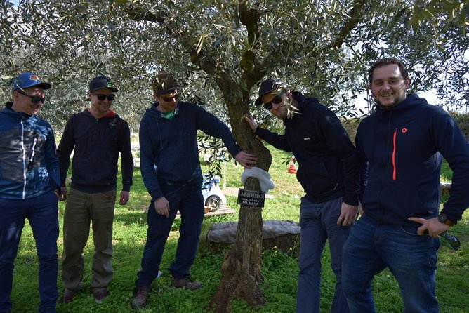 Olive Oil Experience - Guided Tasting and Lunch Experience