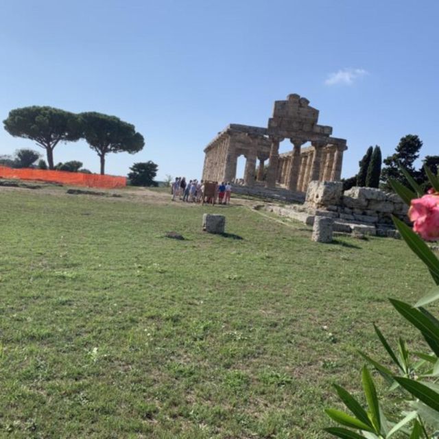 Paestum and Its Greek Temples Private Day Tour From Rome - Description