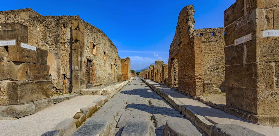 Private Pompeii Tour and Archeological Museum of Naples - Museum of Naples Experience