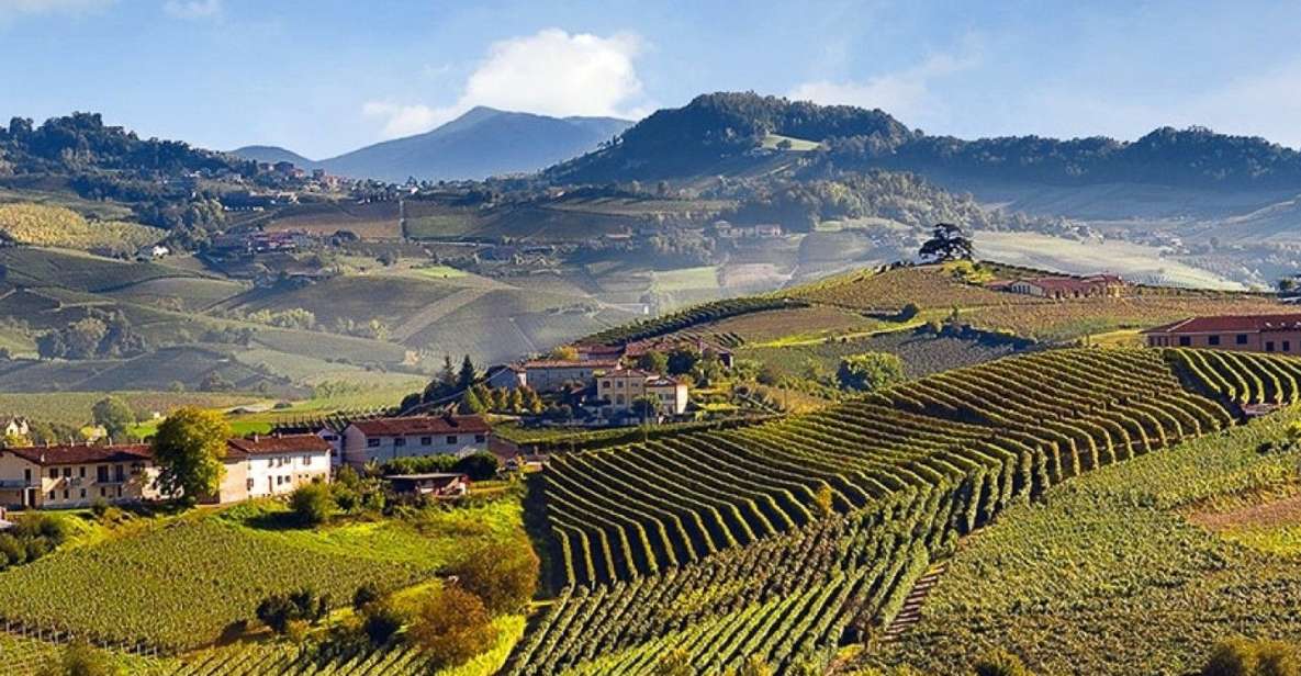 Private Tour: Barolo Wine Tasting in Langhe Area From Torino - Experience Description
