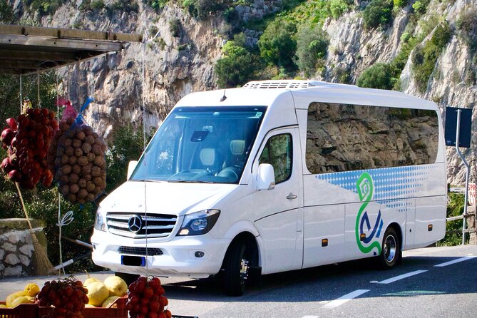 Private Transfer From Naples to Positano or Vice Versa - Driver Performance and Service Quality