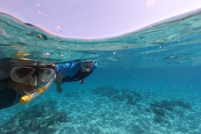 Snorkeling Experience to Discover the Dolphin Inside You! - The Best Snorkeling Spots for Beginners