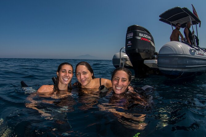 Snorkeling With Marine Biologist Expert From Sorrento - Cancellation Policy