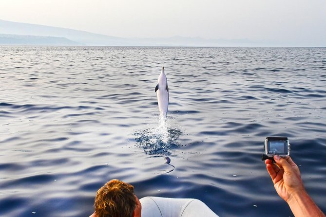 Sustainable Dolphin Watching Tour With Marine Biologist  - Sicily - Eco-Friendly Boat