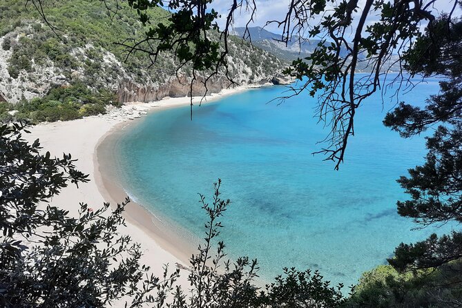 Trekking to Cala Luna the Pearl of the Gulf of Orosei - Wildlife and Flora Encountered