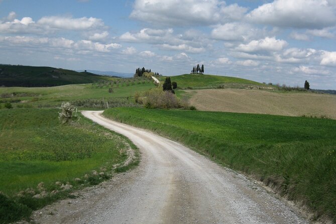 Tuscany Hiking Tour From Siena Including Wine Tasting - Route Highlights