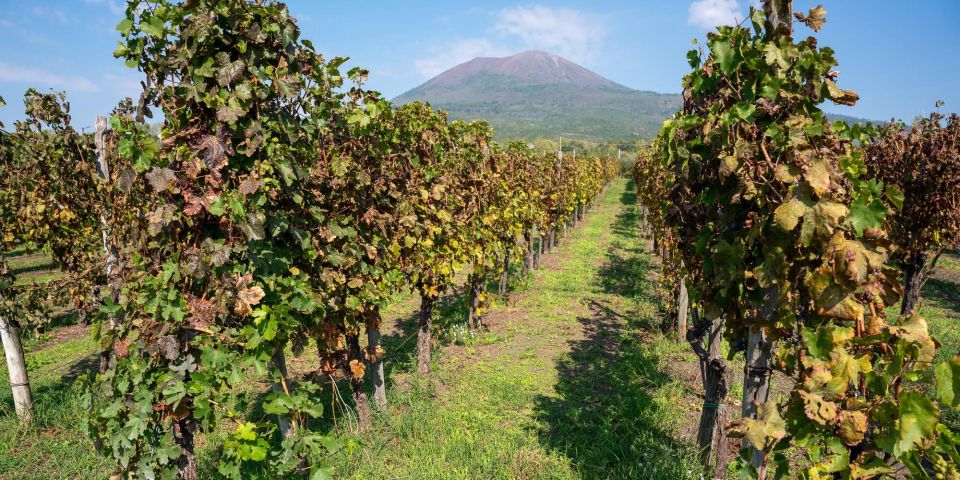 Vesuvius Valley and Pompeii With Wine Taste and Lunch by Van - Inclusions and Exclusions