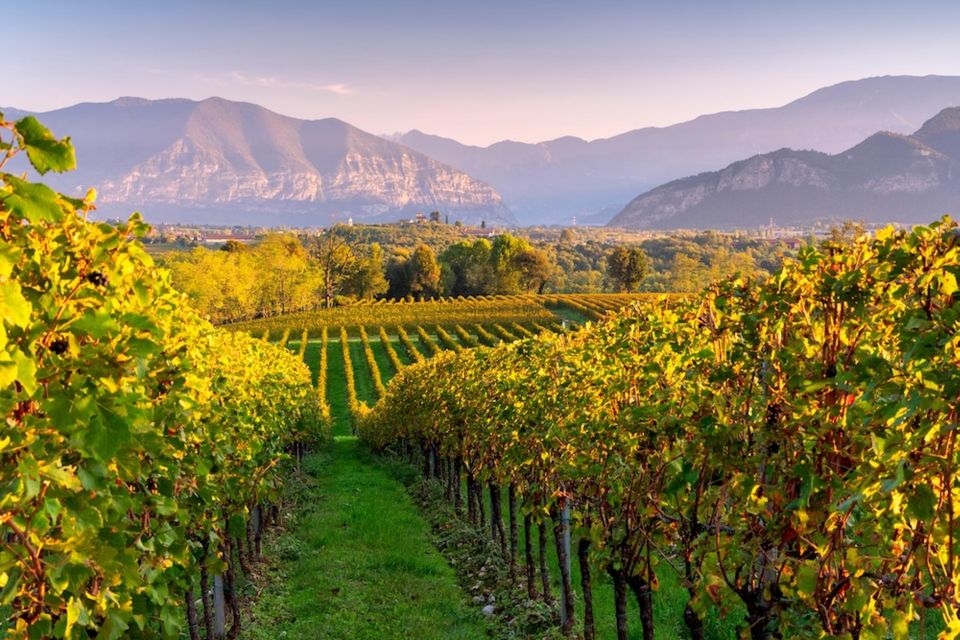 VIP Experience to Lake Iseo and Franciacorta Wine Tasting - Booking Information