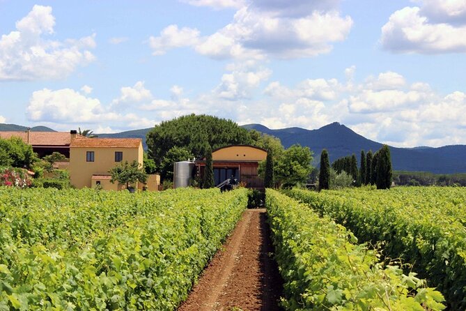 Bolgheri: Premium Wine Tasting With Winery Tour - Directions