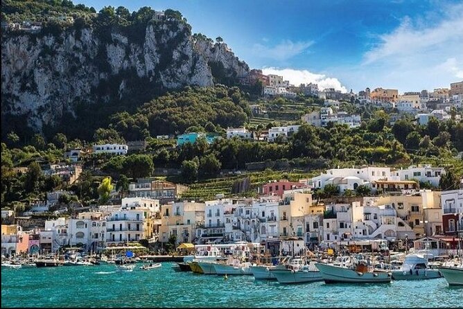 Capri Deluxe Small Group Shared Tour From Sorrento, Positano, Amalfi - Additional Information for Travelers