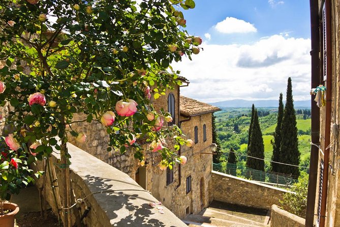 Chianti Half Day Wine Tour From Florence - Guides, Tours, and Logistics