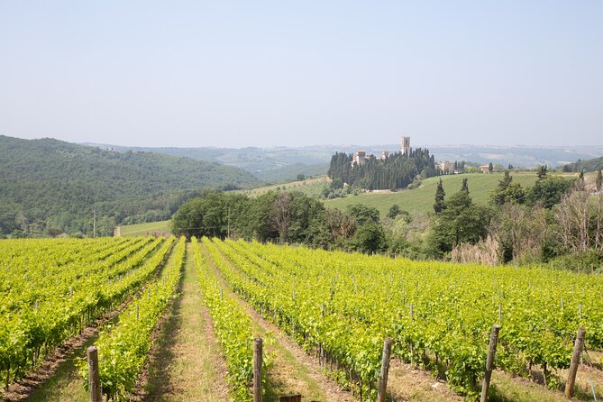 Chianti Wine Tastings at Sunset Day Trip From Florence - Reviews and Feedback Summary