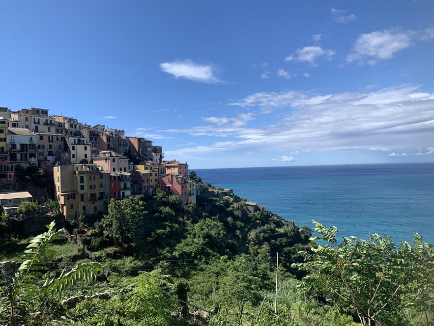 From Florence: Private Roundtrip Transfer to Cinque Terre - Inclusions