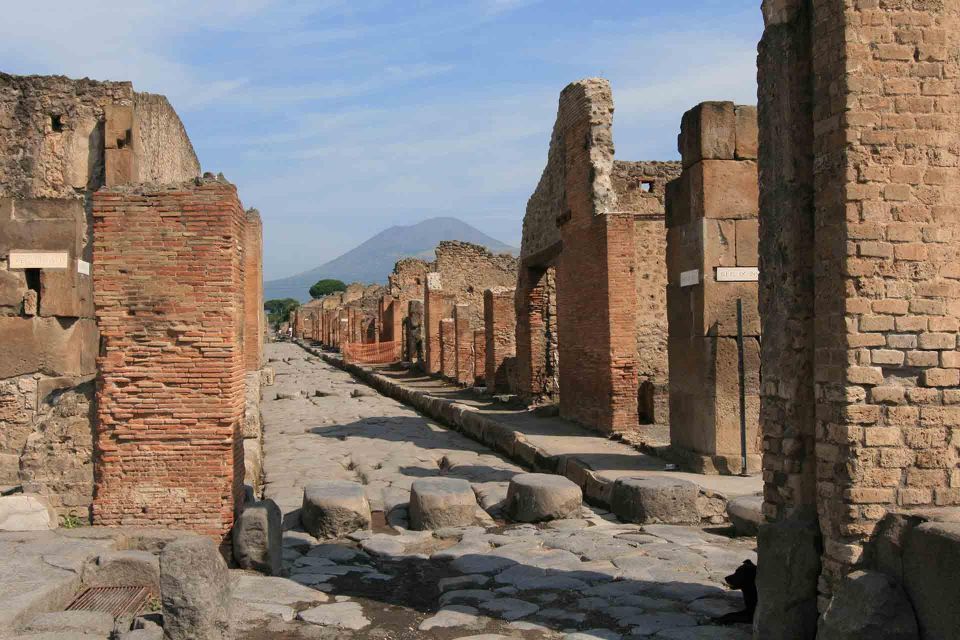From Naples: Private Tour Vesuvius, Herculaneum and Pompeii - Additional Information