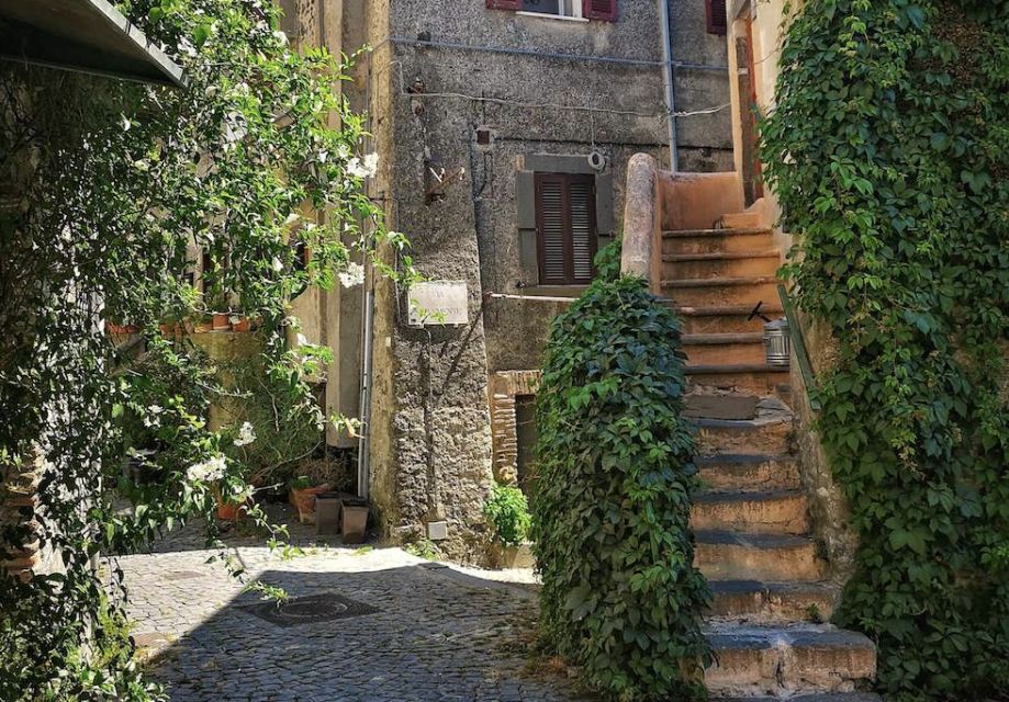 From Rome:Private Day Trip to Bracciano, Caprarola & Viterbo - Additional Details