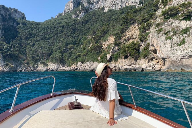 Half Day Private Boat Tour of Capri - Traveler Experience Insights