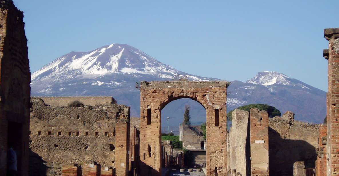 Naples: Pompeii, Herculaneum and Mt. Vesuvius Private Tour - Customer Reviews
