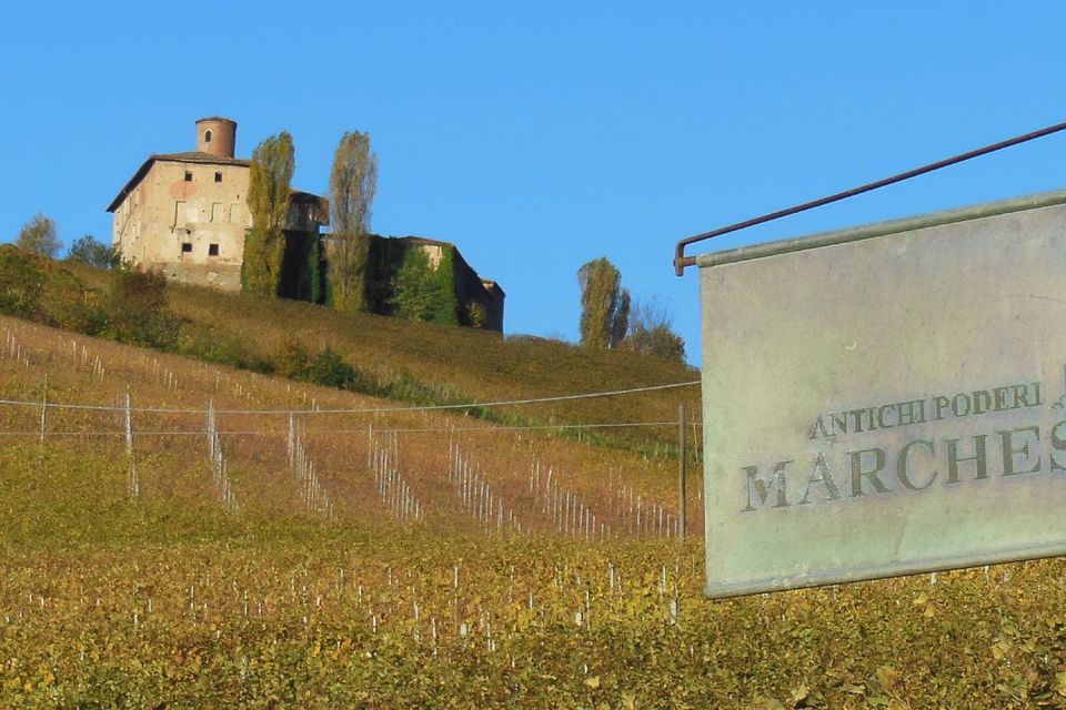 Private Tour: Barolo Wine Tasting in Langhe Area From Torino - Customer Reviews
