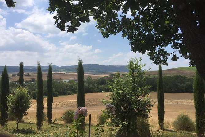 Private Tuscany Wine Tour Experience From Florence - Logistics and Pricing Details
