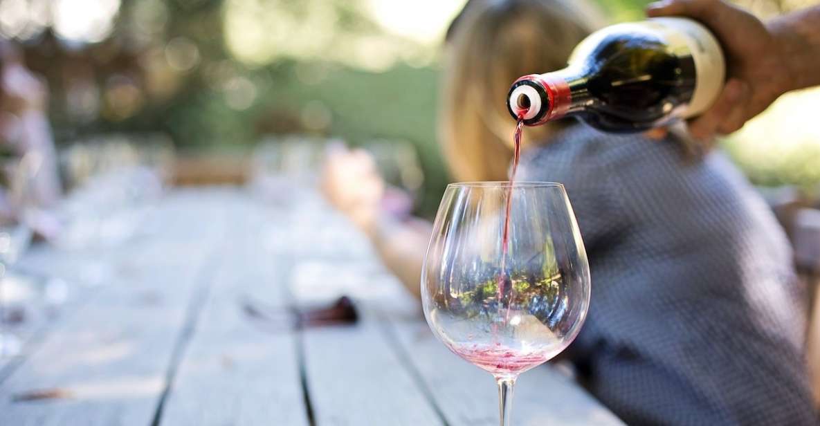 Private Wine Tours VIP Wines & Wineries of Chianti Classico - Experiences