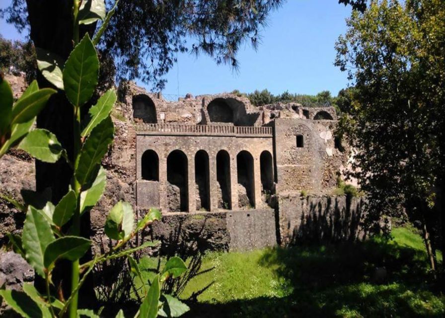 Rome: Private Guided Pompeii Ruins Tour With Hotel Transfer - Highlights