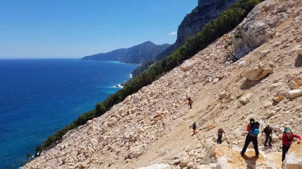 Selvaggio Blu: 5-Days Trekking on the Original Trail - Experience Highlights