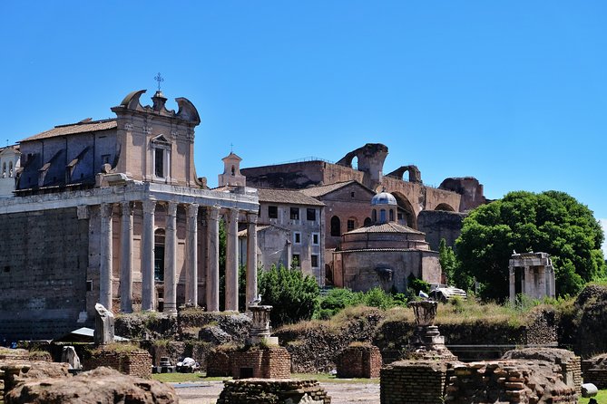 Skip the Line: Colosseum, Roman Forum, and Palatine Hill Tour - Tour Highlights and Overall Experience