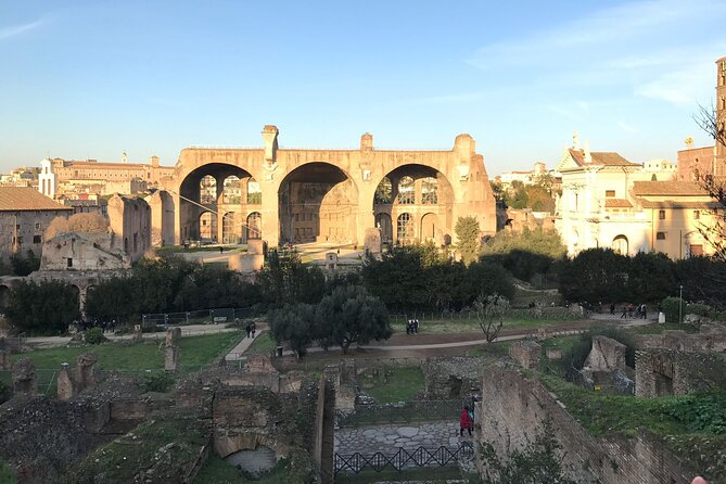 Skip-The-Line Entrance: Colosseum, Forum and Palatine With Video - Value for Money Insights
