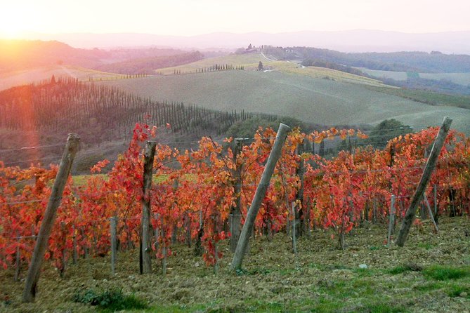 Small-Group Chianti and San Gimignano Sunset Trip From Siena - Additional Information and Cancellation Policy