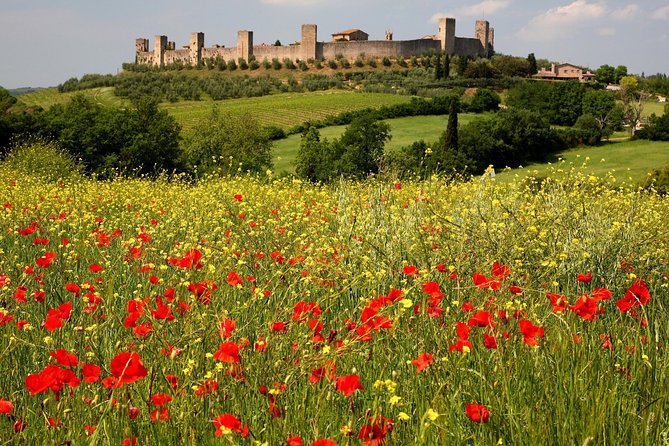Tuscany Hiking Tour From Siena Including Wine Tasting - Customer Reviews