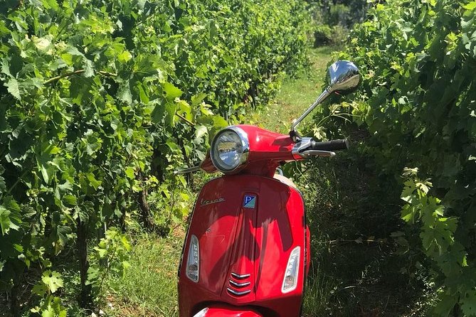Vespa Tour With Lunch&Chianti Winery From Siena - Business Operations and Customer Satisfaction