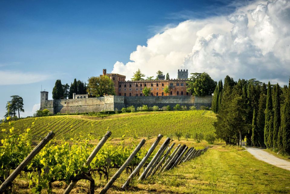 Wine Tasting in Brolio Castle Gardens From Florence by Car - Inclusions Provided