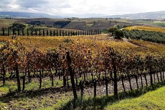Brunello Wine Tour and Val DOrcia Landscape - Booking and Cancellation Policy