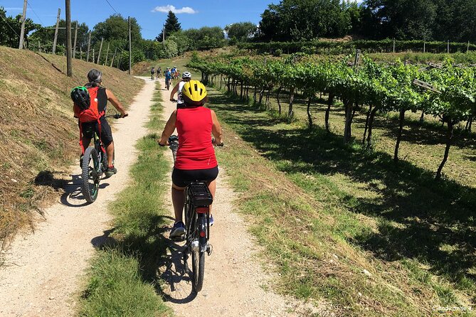 E-Bike Tour and Wine Tasting in Lazise - Tour Experience and Participant Feedback