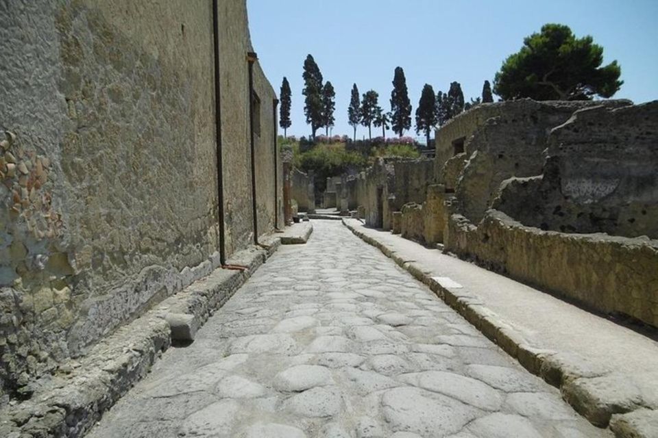 Herculaneum and Archeological Museum of Naples Private Tour - Final Words