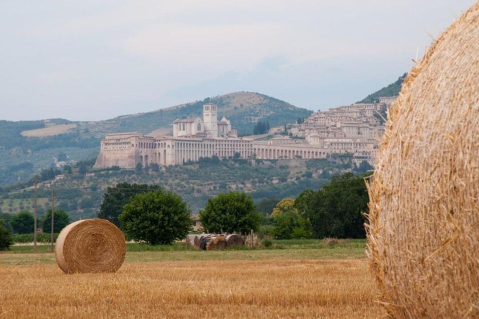 Montepulciano Wine Tasting and Assisi Private Day Tour - Booking Information