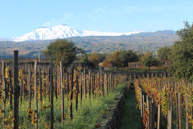 Mount Etna Hike Plus Food and Wine Tour  - Sicily - Frequently Asked Questions