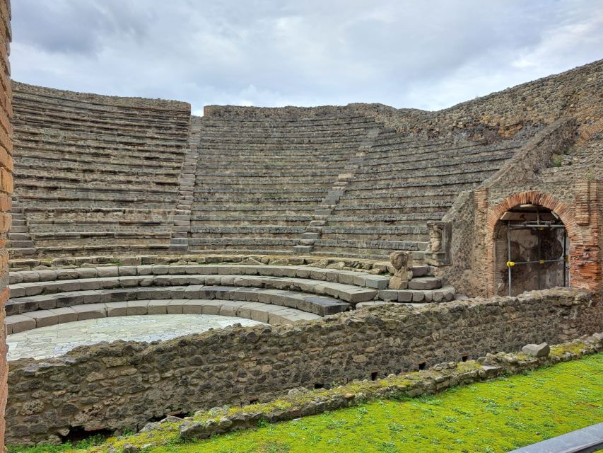 Naples: Day Trip to Pompeii & Vesuvius - Customer Reviews and Not Suitable For