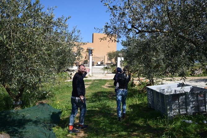 Olive Oil Experience - Practical Tour Details