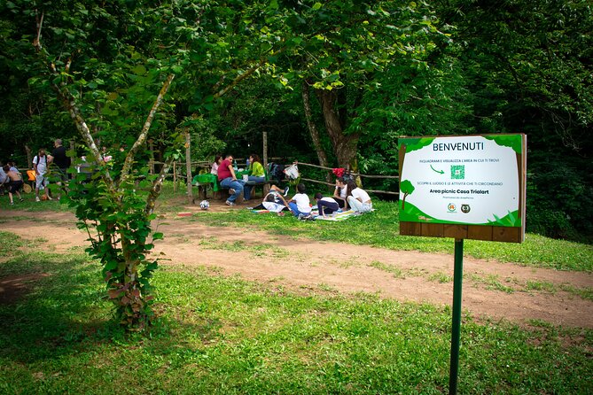 Picnic Area With Barbecue Equipment in Capranica (Vt) - Customer Support and Assistance