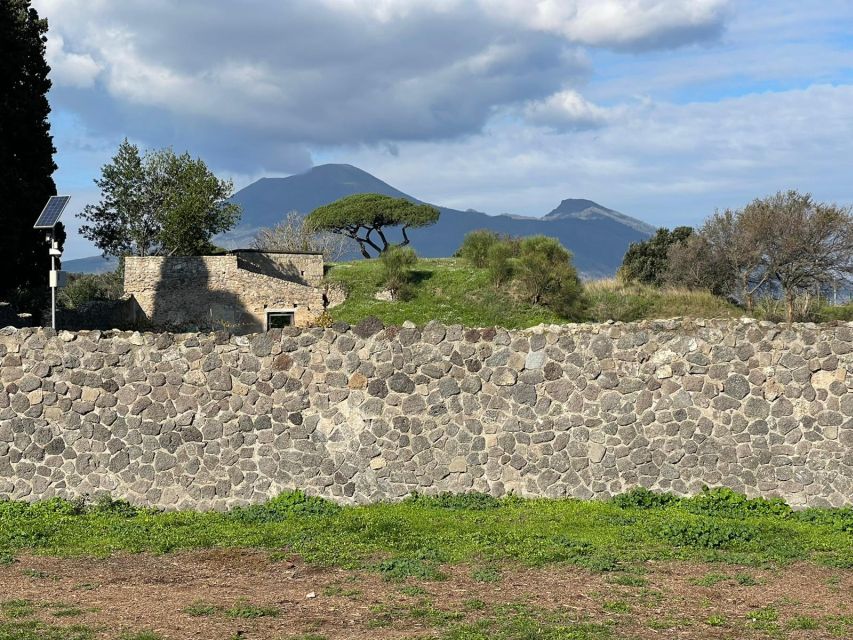 Rome: Pompeii and Naples Private Day Tour With Pizza Tasting - Additional Information