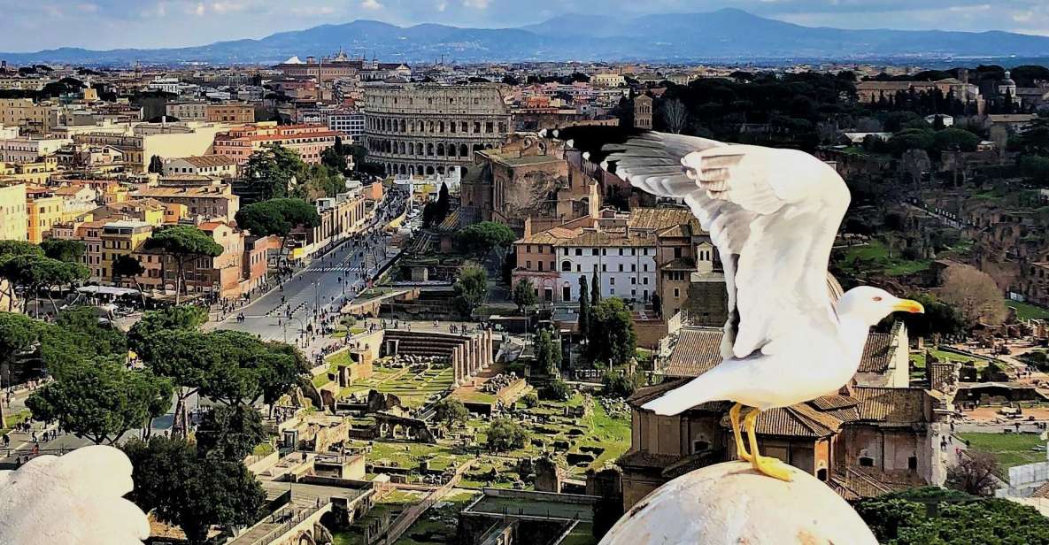 Rome: Vatican, Colosseum & Main Squares Tour W/ Lunch & Car - Important Information